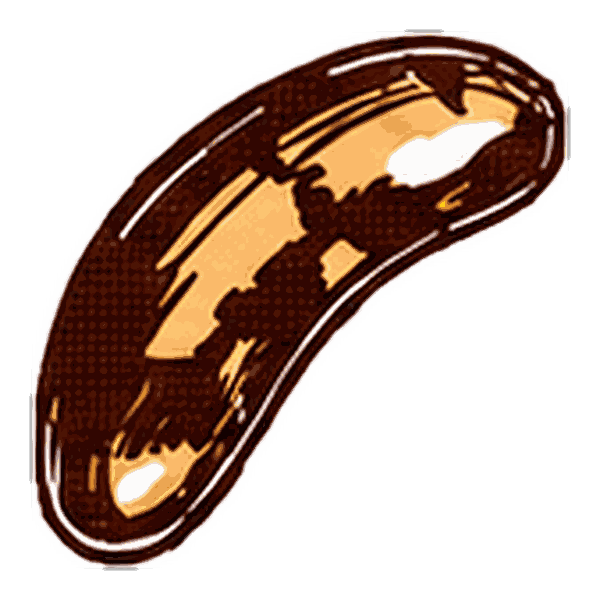 Paranoot