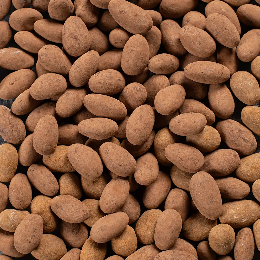 Choco Cacao